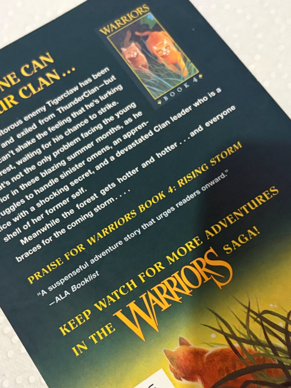 Rising Storm (Warriors, Book 4) - Paperback By Hunter, Erin - - Picture 4 of 4